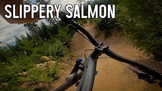 Slippery Salmon - Squamish MTB Alice Lake