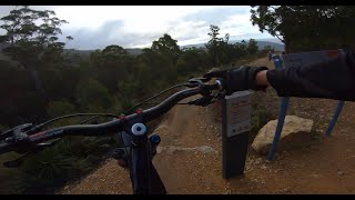 Drops - South Hobart