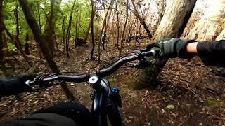 sdrifty (Blind Run) - South Hobart