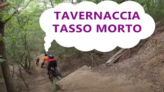 MTB Roveta 17.07.2021 sentiero TAVERNACCIA -...