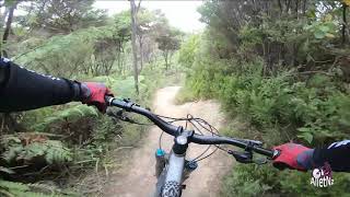 Bee Line - Wainuiomata Mountain Bike Park