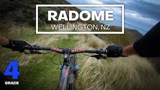 BRAKE MELTING FUN - Radome Mountain Bike Trail...