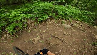 Ridgeback | Arkell Springs | MTB