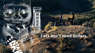 Cats don't need dollars