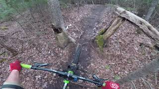 scenic root