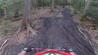berm to deer to ladder to ridge to tongue's...