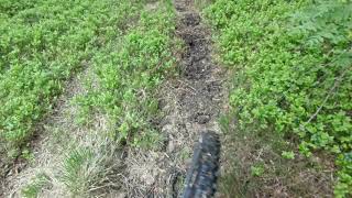 01. 06. 2021 P5 Nice trail by a fence, and...