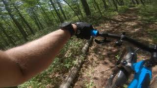 Seaview Estate Trails 13 Mile Virtual Ride