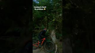 ⚡️ Hello Tree  How’s it going!  #shorts...