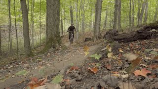 Revisiting Durham Forest