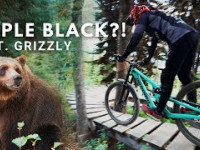 We saw a Grizzly Bear and rode a Triple Black...