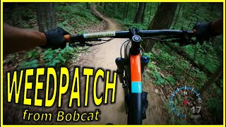 Weedpatch [from Bobcat] RAW