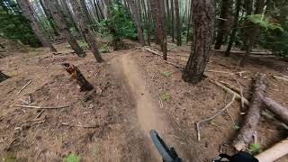 Fiasco - Garfagnana Bike