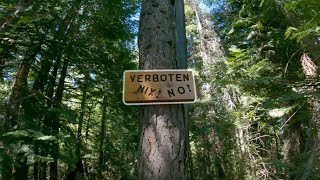 Snake Bite & The Forbidden Trail