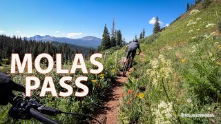 Molas Pass | Colorado Trail Alpine Goodness