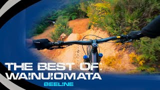 THE BEST OF: WELLINGTON, WAINUIOMATA PROJECT...