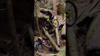 If a tree falls in the woods, do you ride it?