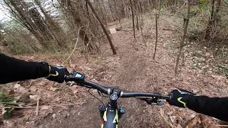 Cinghialine 1 completa MTB Montescudo