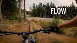 Flow - Burke Mountain MTB