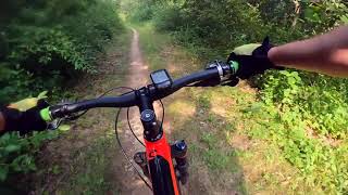 Murray Lake Trail (and more) at Brighton Rec Area