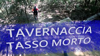 MTB Roveta 31.07.2021 sentiero TAVERNACCIA /...