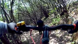 BRUJAS TRAIL 'SIN MIEDO', BOSQUE DE...
