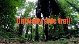 Belvoir Galwally