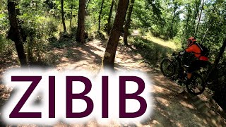 MTB Roveta 31.07.2021 sentiero ZIBIB