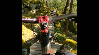 ‍♂️ Magic Pleasure Trail in Squamish...