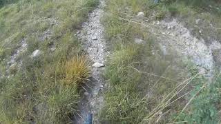 Falcons Trail (august 2021)