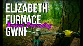 Elizabeth Furnace pt3 : Lower Bear Wallow Downhill