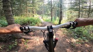 Crocus Loop