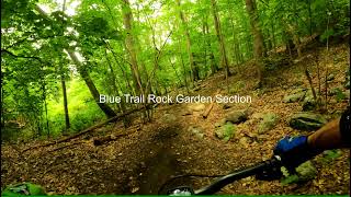 Blue Trail Rock Garden Section Aug 4, 2021