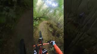 Silverstar Trail in Fort Sask, Stewart in front.