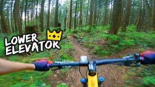 Lower Elevator is a Short and Steep Tech Trail