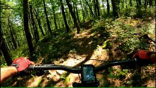 5 Bridges & Dukes Trails July 31, 2021