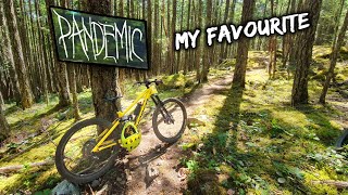 Pandemic is My Favourite Flow Trail Ever
