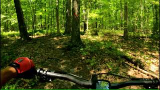 Poults Attack Trail July 31, 2021