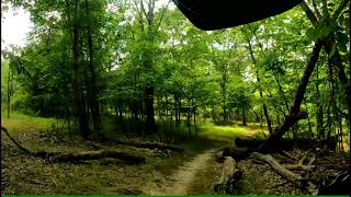 Black Trail Aug 9, 2021