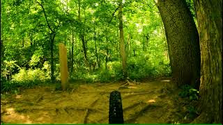 Middle Brook Trail Aug 9, 2021