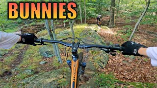 MTB Trails With Bunnies