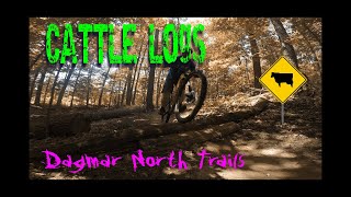 SO many LOGS! Trail Ride - Cattle Logs at...
