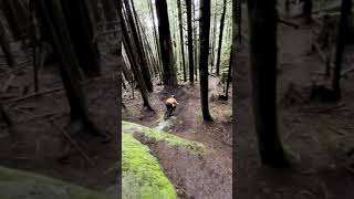 Tech Rock Drop