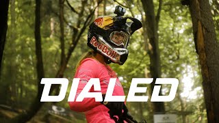 DIALED S3-EP20: Trying to keep cool for...