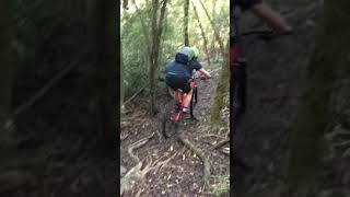 MTB ENDURO TRAIL #Shorts #MTB