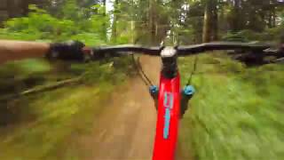 Mojo HD4 in the Pacific Northwest