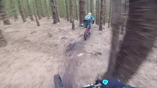 Tardree Forest Valhalla