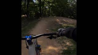 Groundhog tried to take me out!
