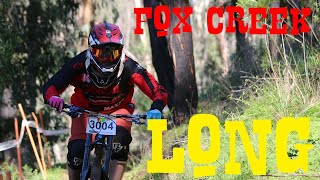 First race after Injury (very slow) Fox Long