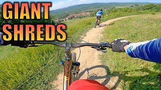 Shredding Mountain Creek on Trail Bikes